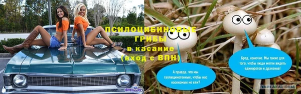 прущая мука Аркадак